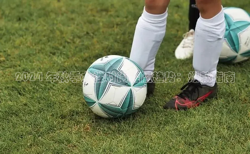 意昂3手机登录官方网站百度网盘2024 年秋季女性时尚鞋履趋势：爆款指南