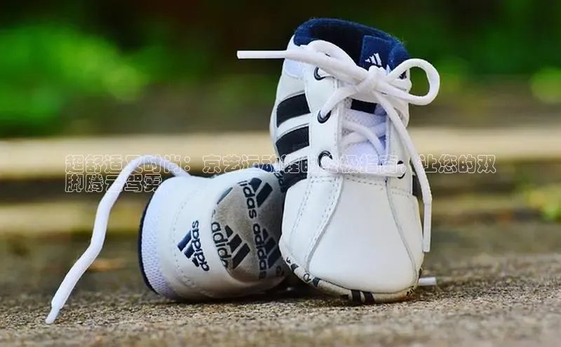 意昂3手游官网下载华扬联众超舒适又时尚：京艺运动鞋的终极指南，让您的双
脚腾云驾雾