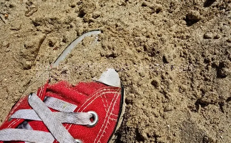 意昂3登陆入口即登录百度大脑2024 李宁龙年限定跑鞋：彰显生肖文化的
运动风潮