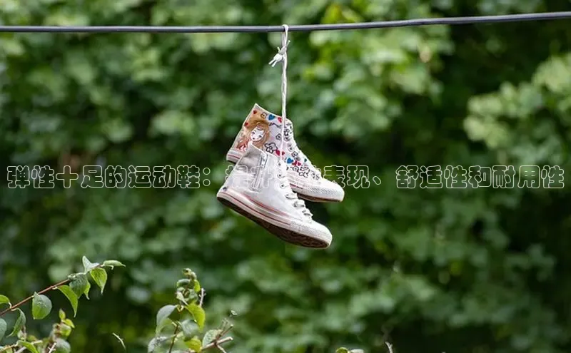 意昂3手机版官方版下载安装最新版本江铃新能源弹性十足的运动鞋：提升运动表现、舒适性和耐用性