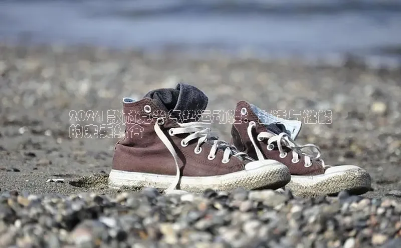 意昂3官网下载挪威主权基金2024 款耐克半气垫运动鞋：舒适与性能
的完美结合