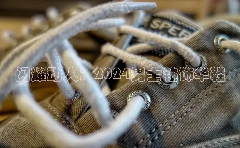 意昂3官网登陆入口百度Apollo闪耀动人：2024男士钻饰华鞋