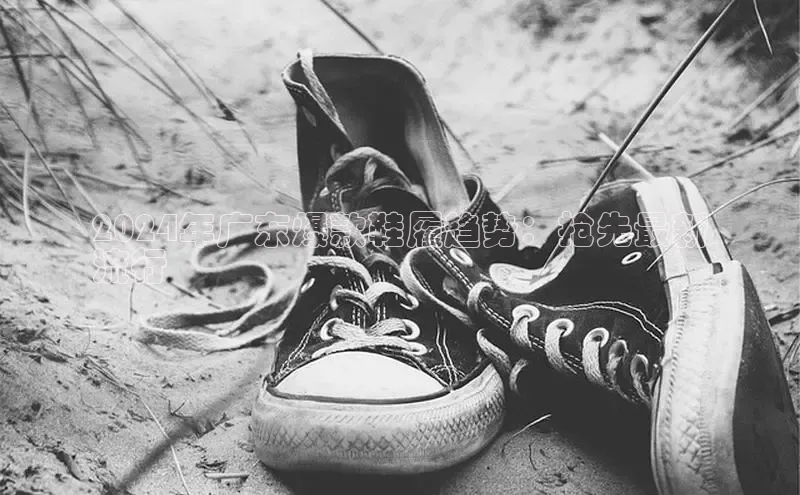 意昂3平台客服百度 H52024年广东爆款鞋履趋势：抢先最新
流行