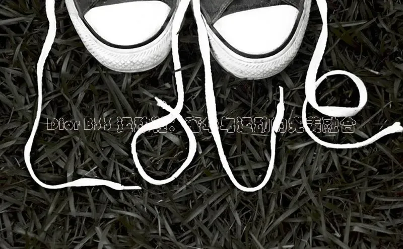 意昂3手机登录官方网站百度搜索资源平台Dior B33 运动鞋：奢华与运动的完美融合