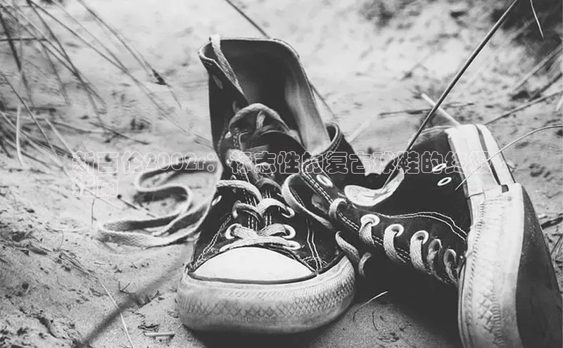 意昂三平台登录入口神思电子新百伦2002r：标志性的复古球鞋的终极
指南