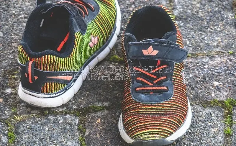 意昂3平台客服京东**2024 年令人期待的爆款名牌男鞋：
时尚与功能的完美融合**