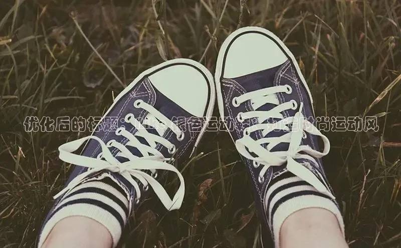 意昂三平台登录入口度小满支付优化后的标题：Nike 银色运动鞋：打造时尚运动风