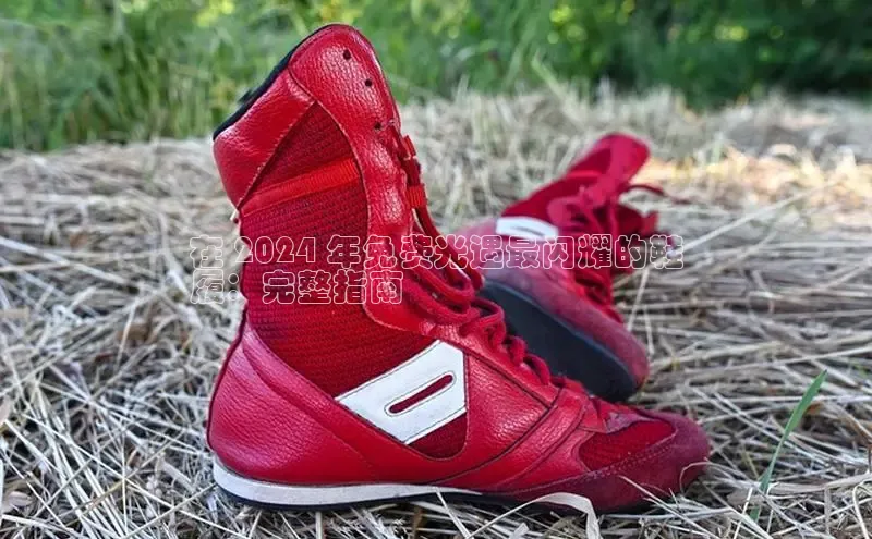 意昂3入口登录百度人工翻译在 2024 年免费光遇最闪耀的鞋
履：完整指南