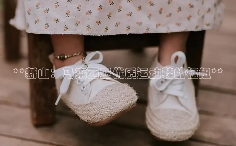 意昂三登录入口百度游戏**新山：马来西亚优质运动鞋的枢纽**