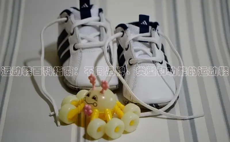 意昂3手机版官方版下载安装最新版本百度网盘企业版运动鞋百科指南：不同品牌、类型和功能的运动鞋