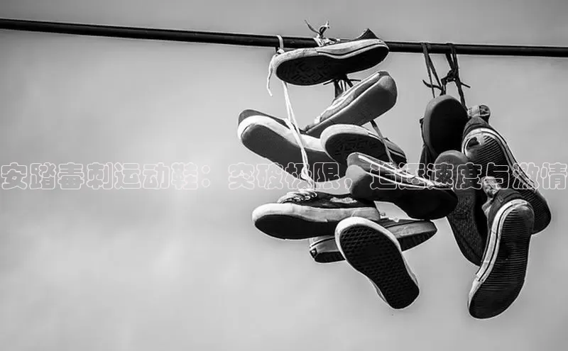 意昂3手机版官方版下载安装最新版本百度网盘企业版安踏毒刺运动鞋：突破极限，追逐速度与激情