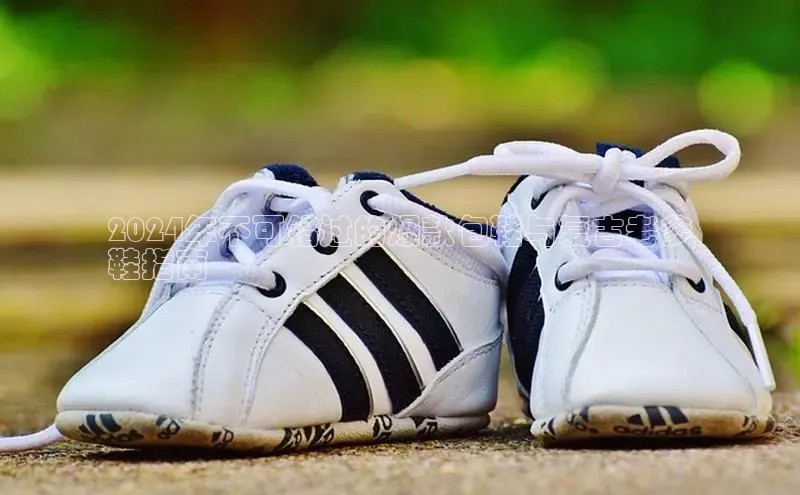 意昂3官网下载百度取证2024年不可错过的爆款包鞋与复古老爹
鞋指南