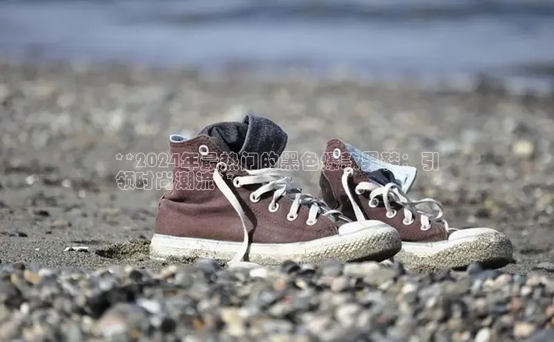 意昂3平台注册网页版中海达**2024年最热门的黑色爆款男鞋：引
领时尚潮流**