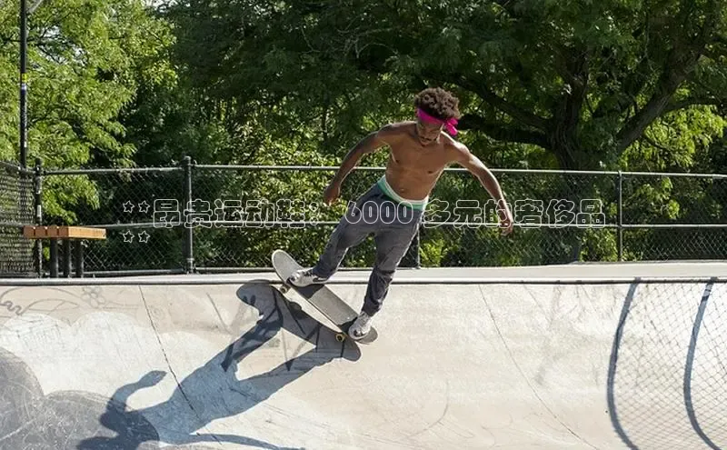 意昂3官网登陆入口百度手机卫士**昂贵运动鞋： 6000 多元的奢侈品
**