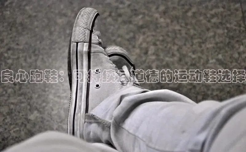 意昂3手游平台官网顺丰良心跑鞋：可持续且道德的运动鞋选择