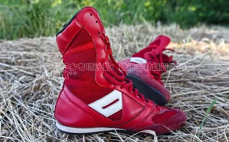 意昂3手游官网下载梯哥哥科技**领导下乡专项计划：助推乡村振兴，赋能
基层发展**