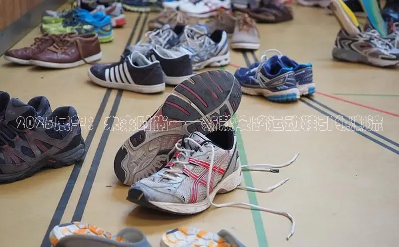 意昂3登陆入口携程2025展望：未来时尚——新款安踏运动鞋引领潮流