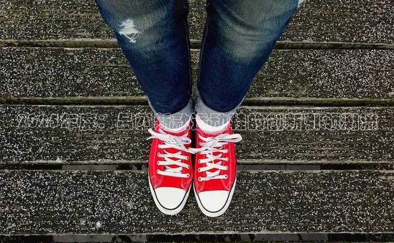 2025年度：吕四新款运动鞋的创新引领潮流