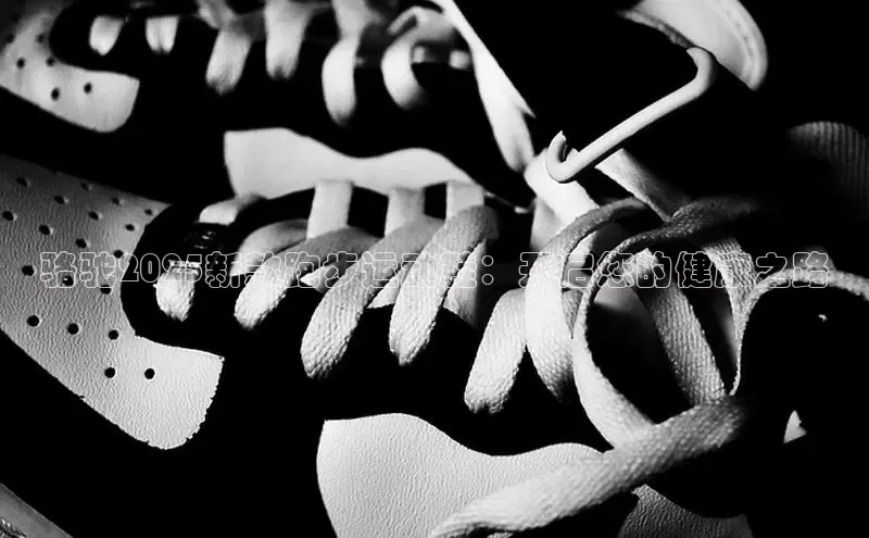 骆驼2025新款跑步运动鞋：开启您的健康之路