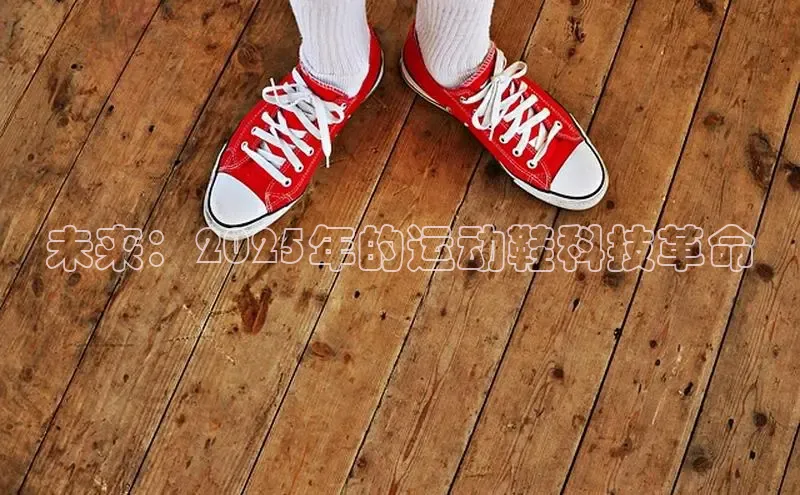未来：2025年的运动鞋科技革命